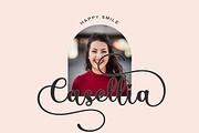 Cochella Family Font, a Script Font by Bosstype Studio (Thumbnail 5 of 7)