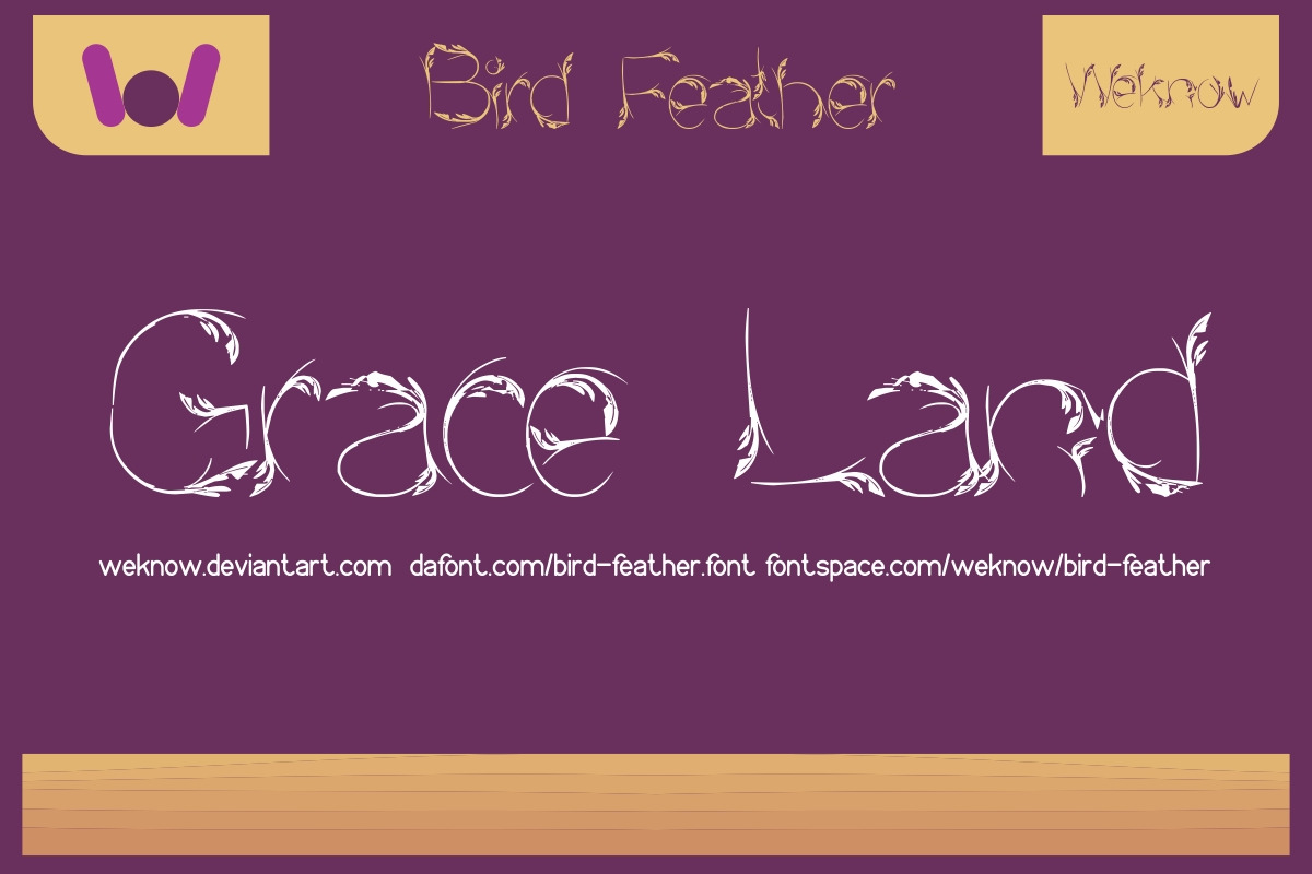 bird feather preview 2