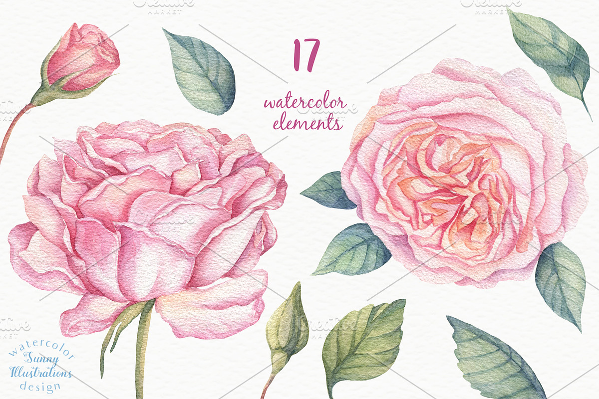 Watercolor Rose Garden, a Decorative Illustration by Irina Diasli (Photo 2 of 9)