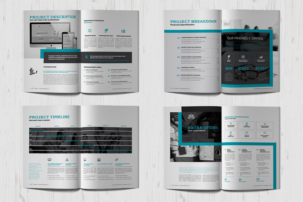 Proposal, a Brochure Template by Sabin (Photo 9 of 12)