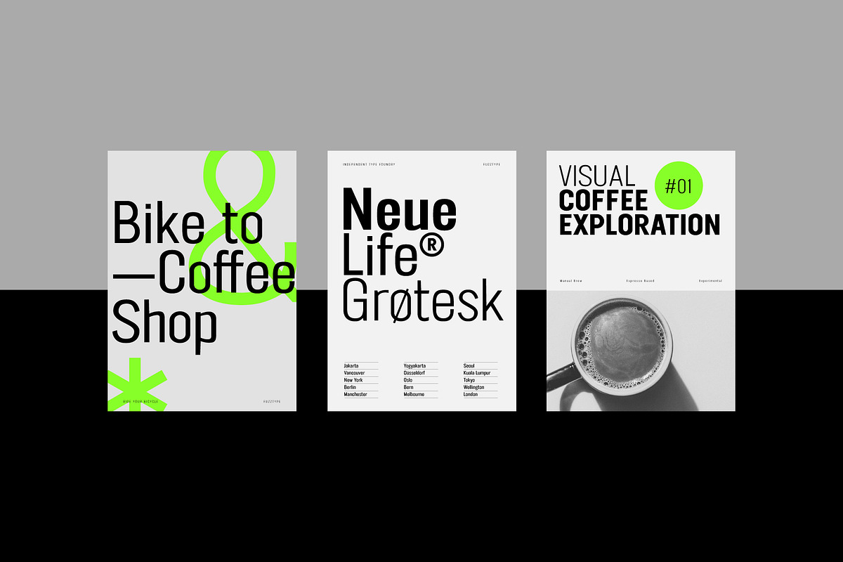 FT Neue Buddy - 5 Styles Sans Serif, a Sans Serif Font by fuzztype (Photo 12 of 15)