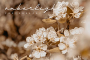 Andalusia a Beautiful Script Font, a Script Font by Lettertype Studio (Thumbnail 17 of 19)