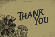 Dakota Font, a Font by edukka (Thumbnail 10 of 10)