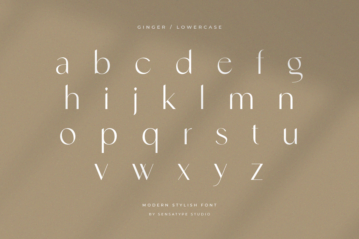 Ginger - Modern Stylish Font, a Sans Serif Font by Sensatype (Photo 12 of 20)