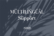Astrid Elegant Ligature Typeface, a Serif Font by Dylla_studio (Thumbnail 11 of 12)