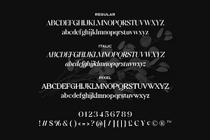 SS Default Lingo - Display Mix Font