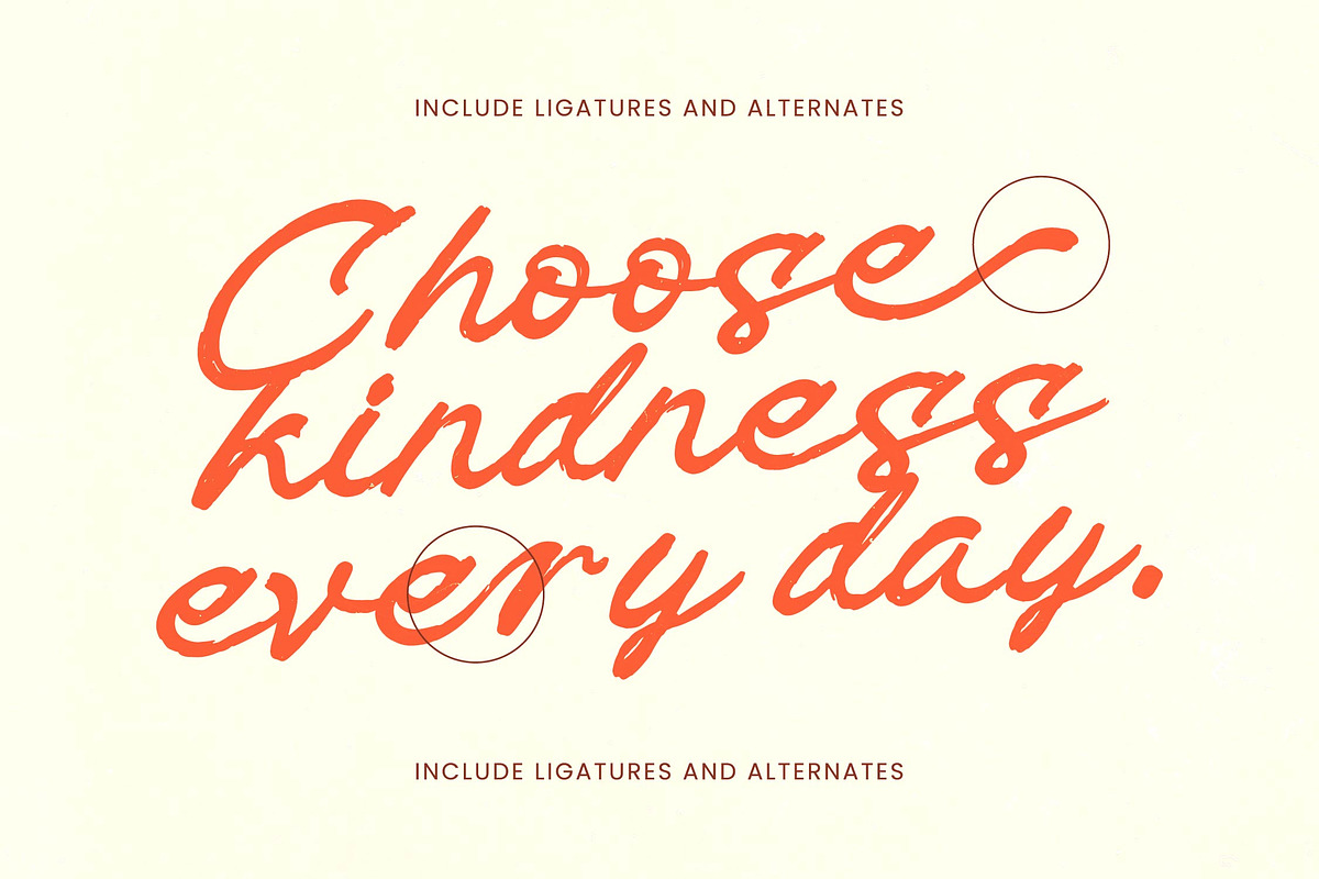 Check Unite Modern Brush Font, a Script Font by stylishtype.co (Photo 10 of 20)