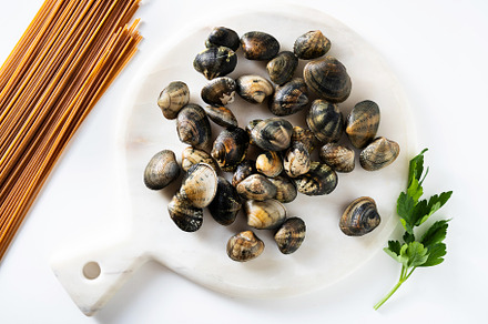 fresh clams on white marble cutting board and whole grain pasta, a Food & Drink Photo by IriGri