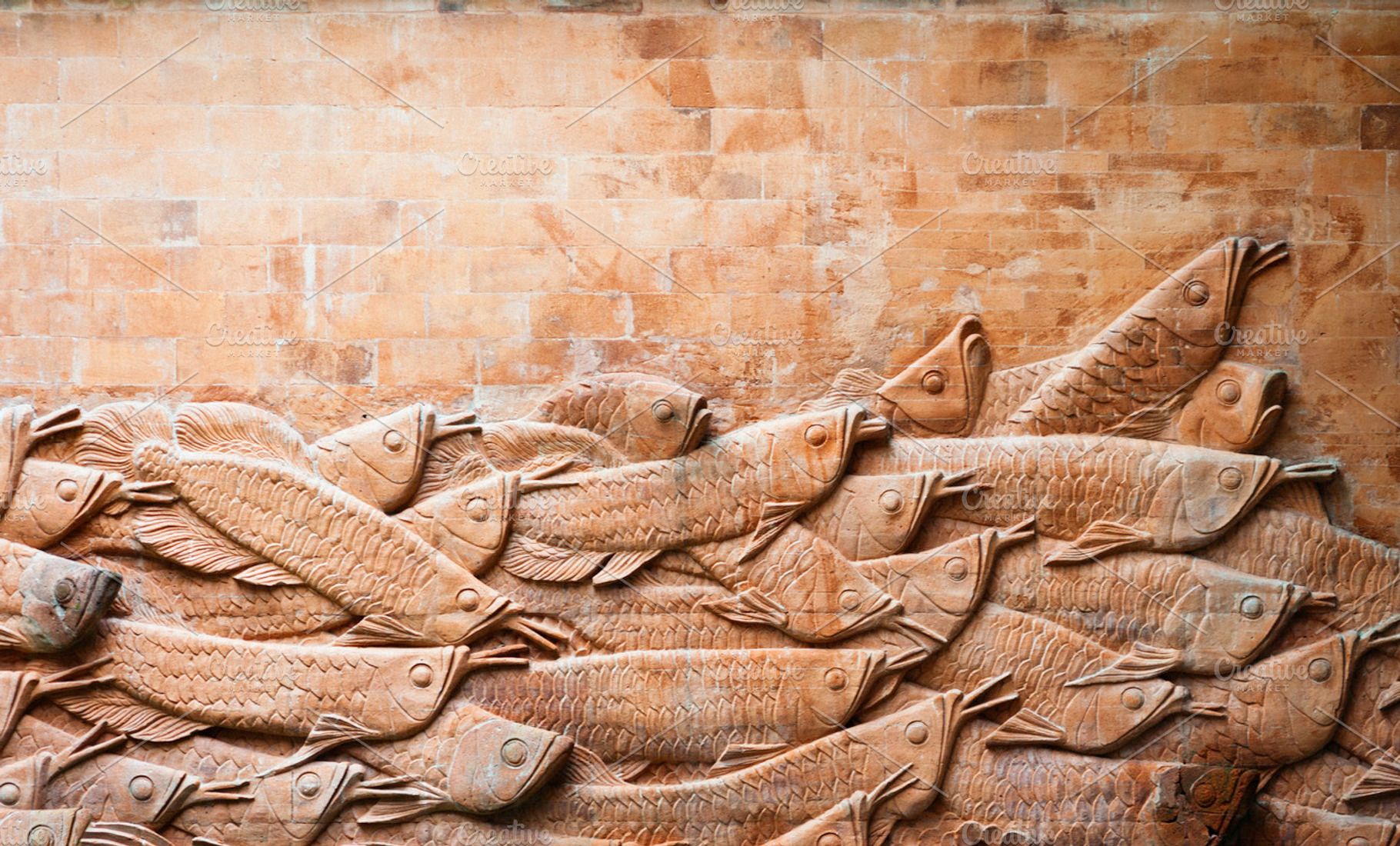 Carp wall, an Arts & Entertainment Photo by The Image Shop