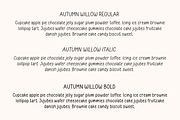 Autumn Willow, a Handwritten Font by Sofia Skoog (Thumbnail 5 of 11)