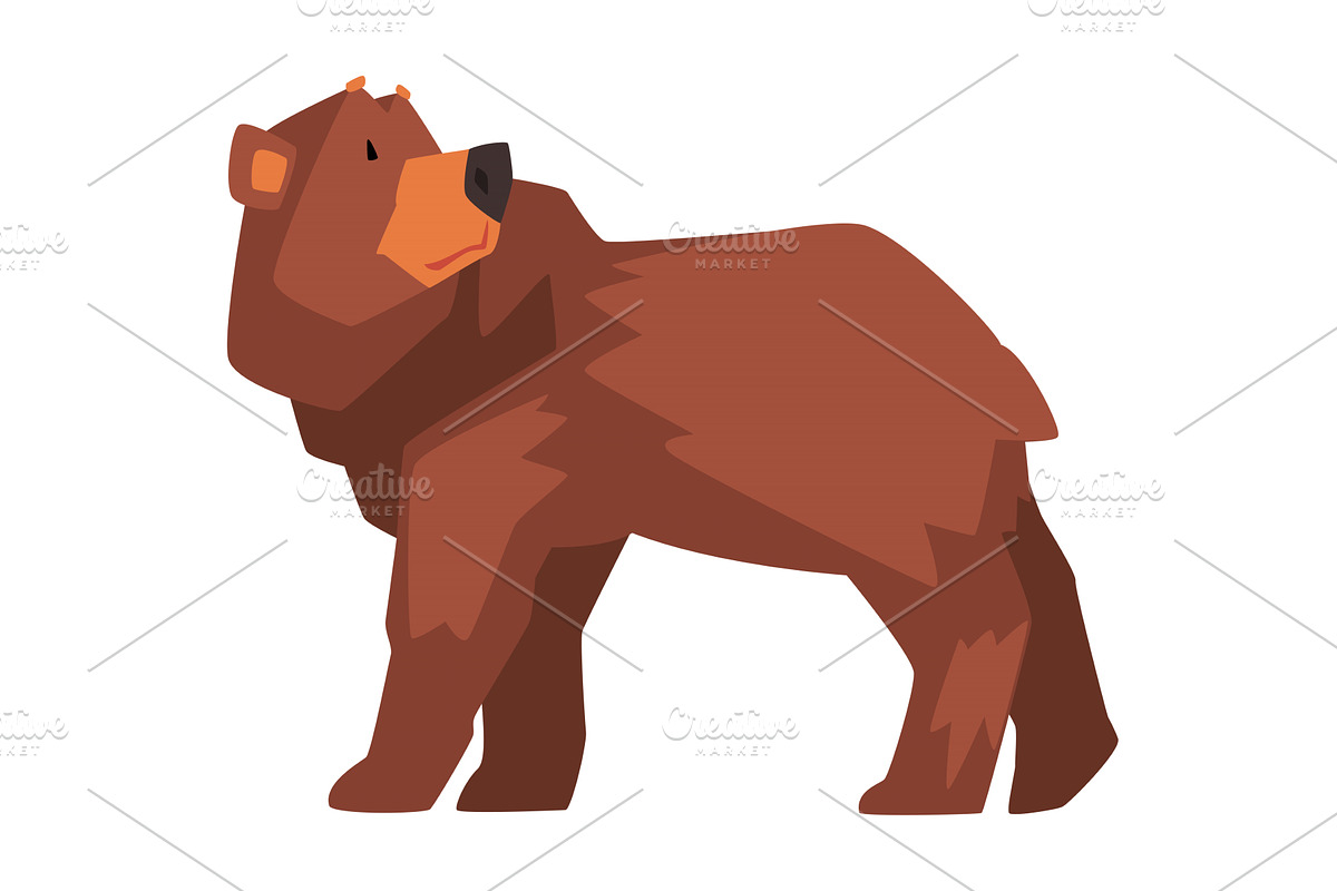 Brown Bear, Wild Forest Animal, an Animal Illustration by TopVectors