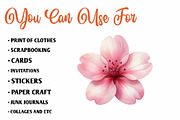 Watercolor Cherry Blossoms Clipart, a Seasonal Illustration by CreationArt (Thumbnail 5 of 7)