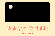 Moldyen Font Family, a Serif Font by MJtypefoundry (Thumbnail 3 of 10)