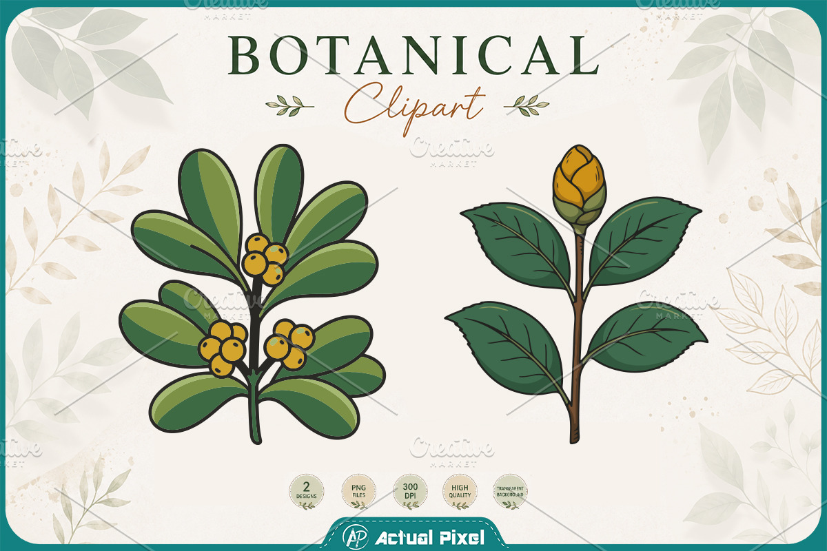 Boho Botanical Leaves Clipart Bundle, a Nature Photo by Actual Pixel (Photo 2 of 21)