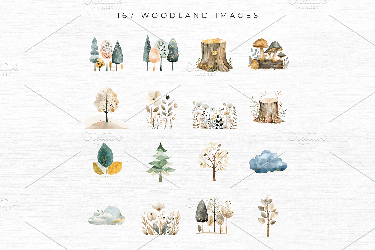 Woodland Animal Clipart, an Animal Illustration by EllyandLima (Photo 6 of 10)