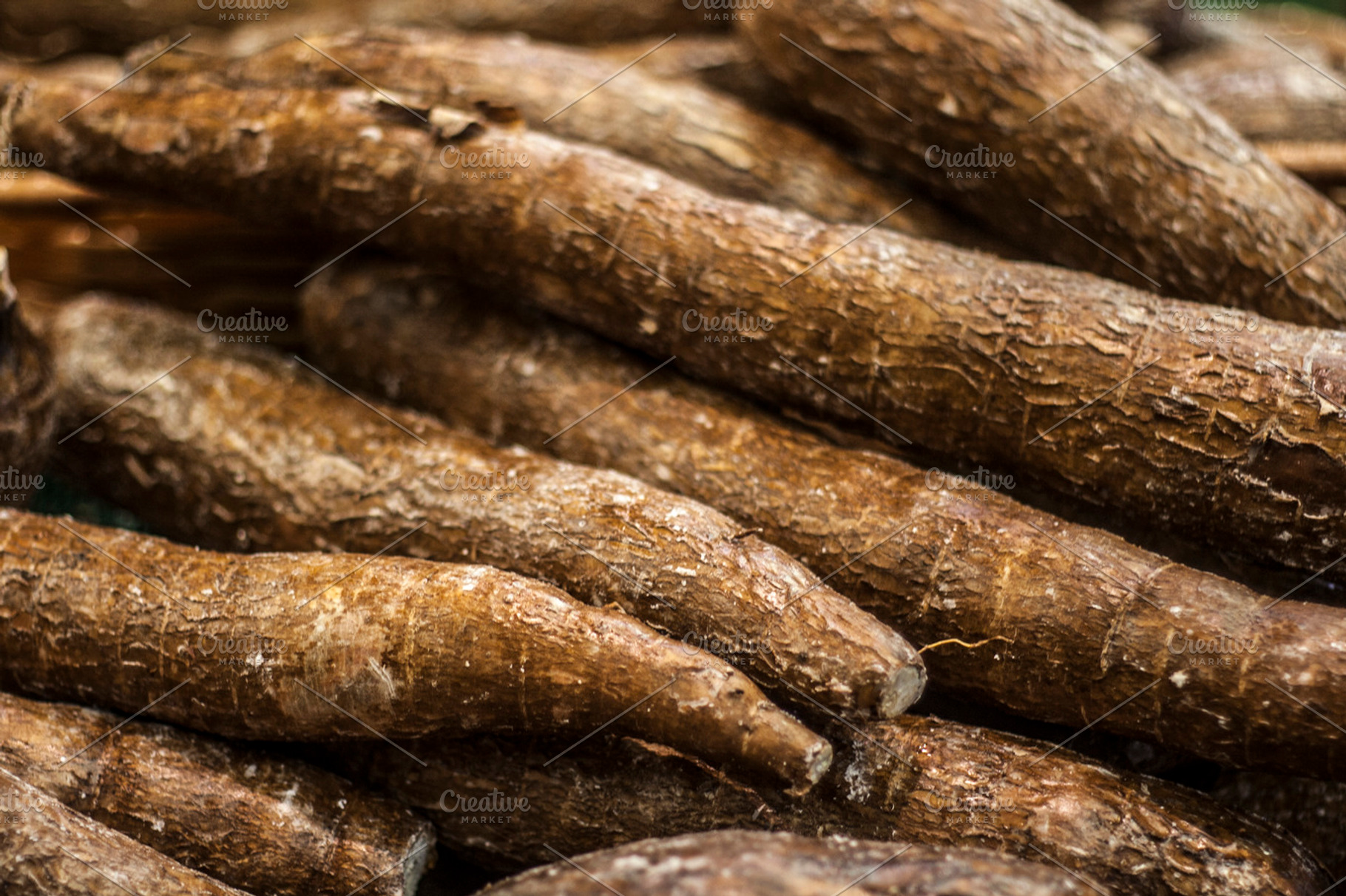 Yuca root, a Food & Drink Photo by Nefrith