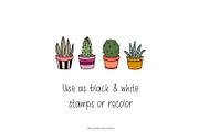 PLANTS BUNDLE - Procreate Stamps, a Brush Add-On by Michelle Kirsch Creative (Thumbnail 4 of 12)