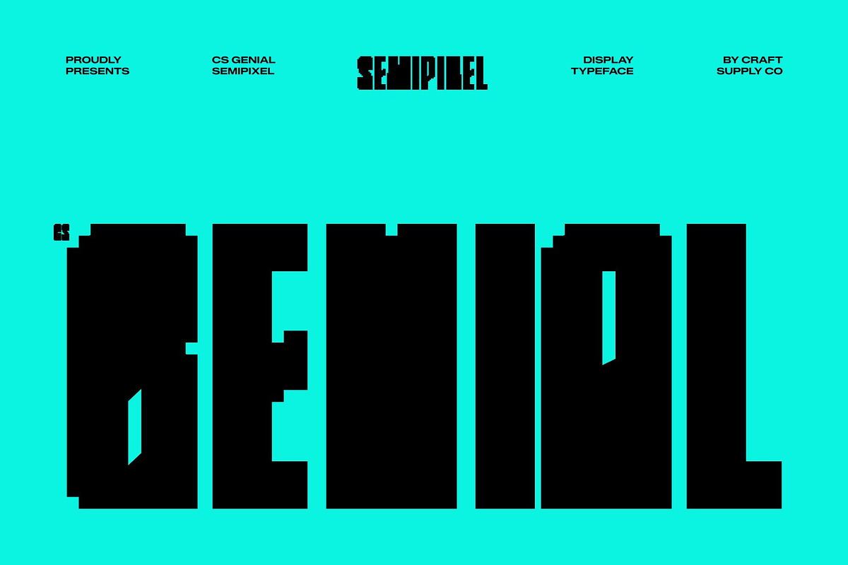 CS Genial Semipixel, a Sans Serif Font by Craft Supply Co. (Photo 1 of 8)