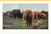 Ultimate Lightroom Preset Collection, an Action Add-On by TomAnders (Thumbnail 6 of 18)