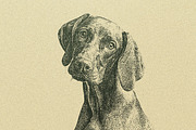 Photocopy Effect Photoshop, an Action Add-On by liptouse (Thumbnail 4 of 8)