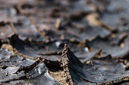 Texture of dry cracked earth, a Nature Photo by BUTKO Magazine