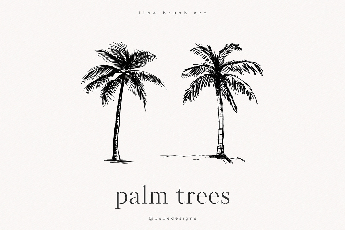 Palm Trees, an Object Illustration by PeDe Designs (Photo 8 of 9)