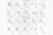 Procreate Birth Flowers Tattoo, a Brushes & More by DiBrush Studio (Thumbnail 3 of 5)