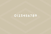 Salmon - Modern Sans Serif, a Sans Serif Font by Creative Type (Thumbnail 7 of 8)