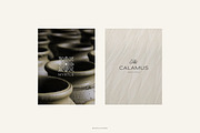 LUXURY Logos & Business Cards, a Branding & Logo Template by Crocus Paperi (Thumbnail 12 of 17)