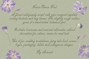 Faerie Charm Whimsical Floral Font, a Script Font by AnMark (Thumbnail 10 of 14)
