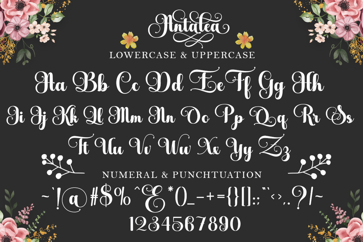 Antalea, a Script Font by IM Studio (Photo 7 of 12)