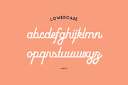 Belvedere - Monoline Font Duo, a Handwritten Font by Unio Designs (Thumbnail 3 of 10)
