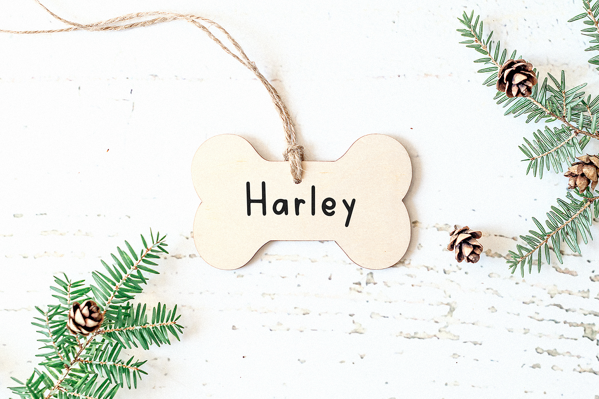 Rosemary | Handwritten Print Font, a Font by KA Designs (Photo 9 of 9)