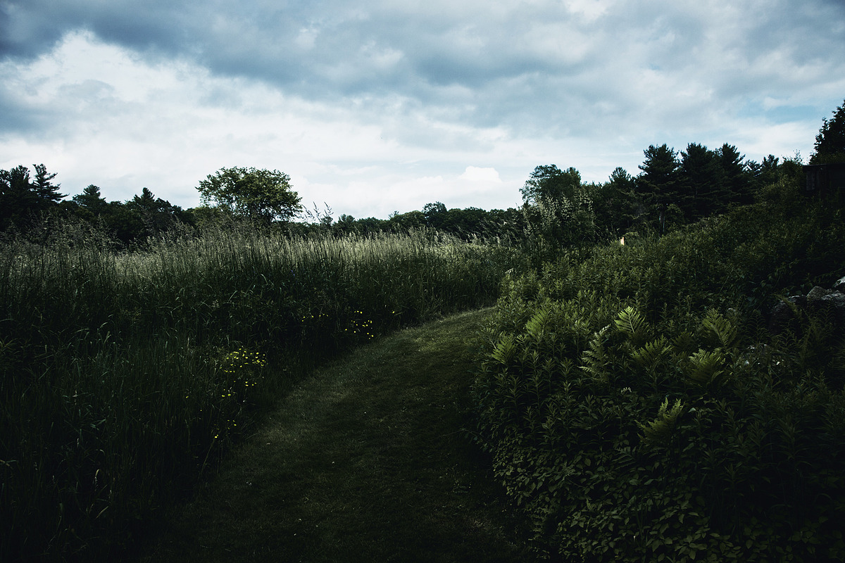 Hollywood LUTs pack, a Plug-in Add-On by Maple Visuals (Photo 7 of 8)