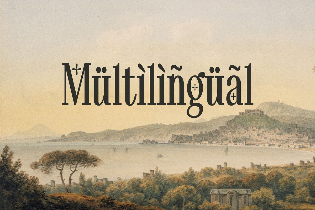 Pheromone Ultimate | Modern Classic, a Serif Font by Lettertype Studio (Photo 20 of 20)