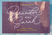 Bastinson - Monoline Script Font, a Script Font by Letterhend Studio (Thumbnail 4 of 9)