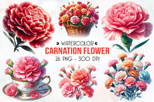 Carnation Flower Watercolor Clipart, an Illustration by RobertsArt