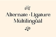 Jitter - Modern Serif, a Serif Font by RagamKata (Thumbnail 10 of 10)