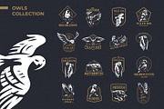 Set of vector Owls illustrations., an Illustration by Masterlevsha (Thumbnail 1 of 2)