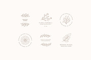 100 Floral Logo Templates, a Branding & Logo Template by AlienValley (Thumbnail 7 of 9)