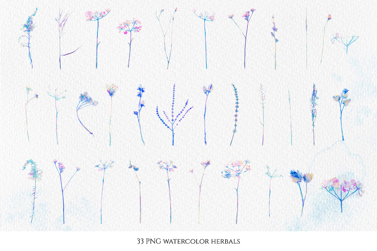Watercolor floral design collection, a Decorative Illustration by white angel arts (Photo 4 of 16)