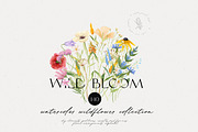 Watercolor Wildflowers Collection, an Illustration by Alisha Gronska (Thumbnail 1 of 10)
