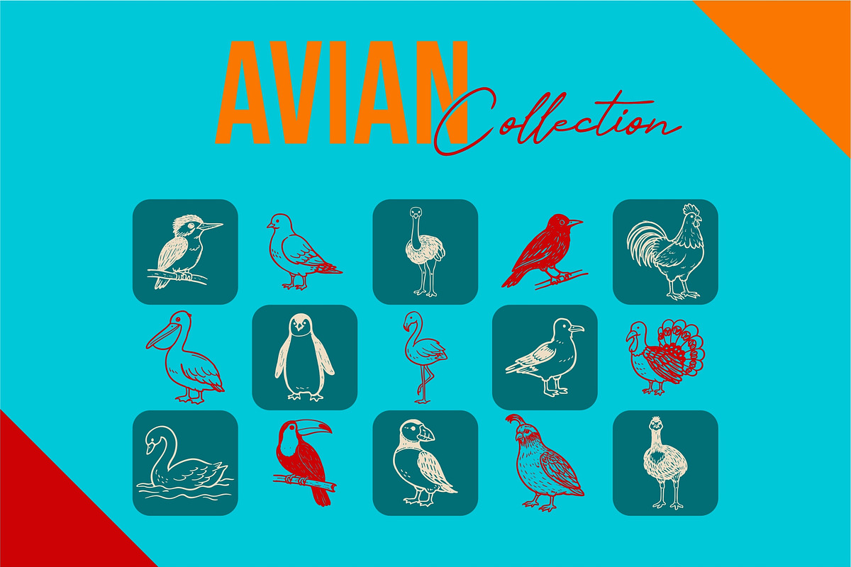 (Avian) Birds Vector Illustrations, an Animal Illustration by Rasgood (Photo 3 of 8)