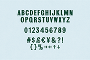 DW Castlereagh - Vintage Font, a Handwritten Font by Walker Design Co. (Thumbnail 3 of 7)