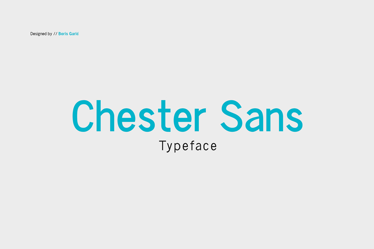 Chester Sans - Type Family