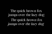 Shader Macalife, a Serif Font by Zelda Graphic (Thumbnail 4 of 8)
