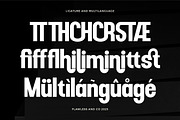 Hostero - Condensed Sans Serif Font, a Sans Serif Font by Flawless And Co (Thumbnail 9 of 10)
