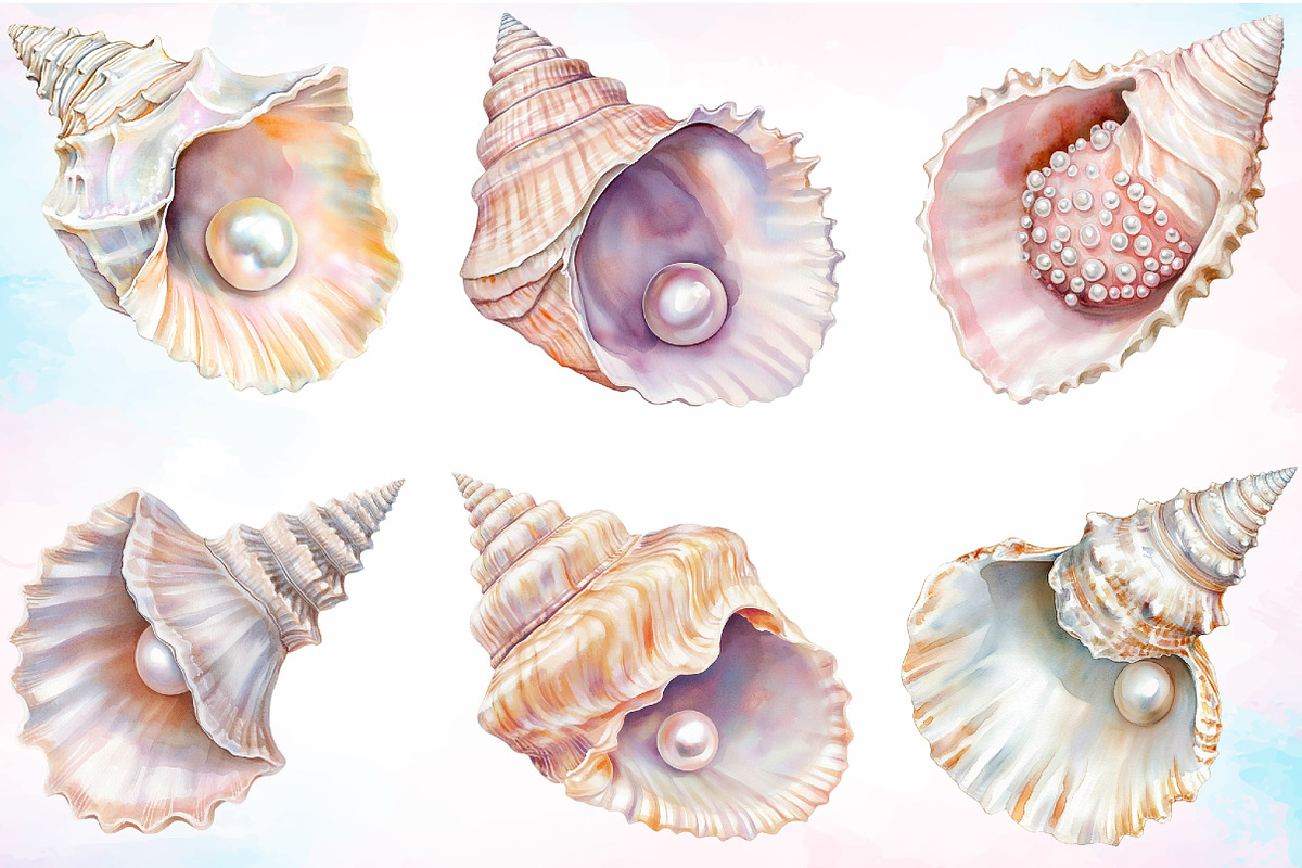 Watercolor Summer Seashell Clipart, an Illustration by Canvas Craft (Photo 2 of 4)