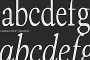 The Old Bros Oskon 90s Vintage Serif, a Serif Font by zelow type (Thumbnail 4 of 11)