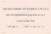 Sheina - Elegant Serif Font, a Serif Font by Ermedia Studio (Thumbnail 10 of 13)